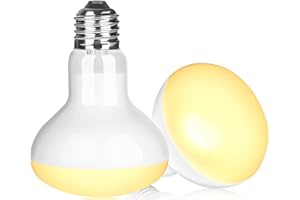 NEPTONION Reptilienwärmelampe, 100W UV-Wärmelampe, Tageslicht-Spotlampe für Eidechsen, Schildkröten, Bartagamen (E26, 220V),2 Pack