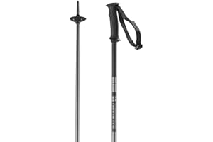 SALOMON Arctic Unisex Poles Ski Hiking