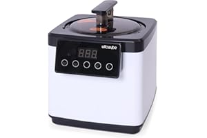 WILLOWYBE Portable Personal Steam Sauna for Home Spa Steamer Pot with Bluetooth Control