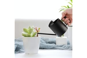 Danolt Kleine Gießkanne aus Metall, Schwarz, 300 ml, für Zimmerpflanzen, Zuhause, Büro, Sukkulenten