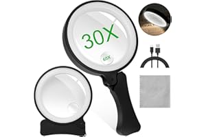 BEE&FLOWER Lente Ingrandimento con Luce,Lente d'Ingrandimento Pieghevole con Luce,Lente Ingrandimento Professionale Ricaricabile con 17 LED,Lente Di Ingrandimento 2 Modalità di Luce USB (Nero)