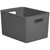 TATAY Baobab Organizer Box Compact Design Integrated Handles | Organizer Box | Capacity 22 L | Measures 29.5 x 38.5 x 23 cm |