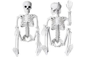 DIYDEC 2PCS Halloween Posable Skeletons, 40cm16'' Plastic Full Body Movable Joints Halloween Hanging Skeleton Decoration for Halloween Haunted House Party Props Indoor Decorations
