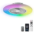 BKZO Smart LED Ceiling Light with Fan,RGB Ceiling Fan Lights, Stepless Dimming Light, 60CM Modern Fan Lighting,Ceiling Fan with RGB Light for Living Room, Dining Room, Bedroom