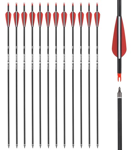 Lot De 6 Ou 12 Flèches Carbone Spine 600 - Plumes Dinde - Pour Arc Recourbé Ou Composé - TOPARCHERY