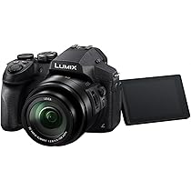 Panasonic Lumix DMC-FZ300 (12.1 Megapixel, 24x Optical Zoom