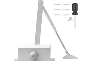 COEWUR Chiudiporta Automatico Idraulico Regolabile Chiudiporta per Porte Commerciale e Privata Peso della Porta 25-40KG Larghezza entro 1000MM (Piccolo, Argento)