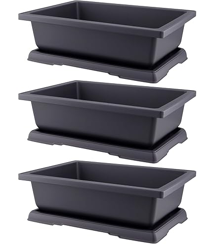 Disque De Frein Avid G3CS 160 Mm - Fixation 6 Trous, En Acier, Couleur Argent - Pour VTT, Vélo Route