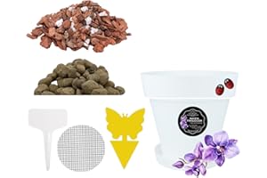 LiveLaif® Kit Transplante Orquideas: Maceta Orquidea TRASLUCIDA ⊘15cm (Agujeros y Plato) + Sutrato Orquideas Premium con Corteza de Pino, Coco, Arlita, Perlita, Vemiculita, Abono NPK + Accesorios