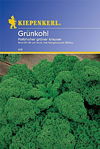 Kiepenkerl Grünkohl Halbhoher grüner Krauser