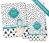 U-Heft Hülle SET Creative Royal Untersuchungsheft Hülle & Impfpasshülle schöne Geschenkidee personalisierbar mit Namen und Geburtsdatum (U-Heft Set personalisiert, Dino)