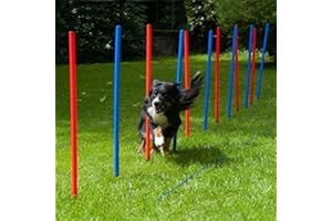 PROCYON Dog Agility Slalom