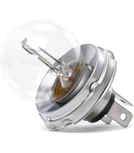 Prime Tolle Eiche Die Glühbirne Kfz Glühlampen 6v Polar Stampfen Genius