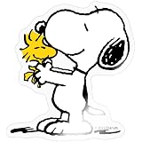 Sweat à Capuche Enfant Peanuts Snoopy - Premium, Poche Kangourou, Capuche Sans Cordon, 80% Coton - 8
