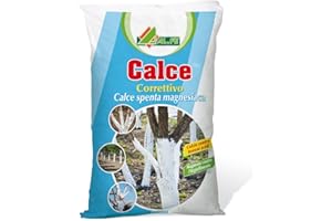AL.FE CALCE SPENTA MAGNESIACA CONFEZIONE DA 4 KG