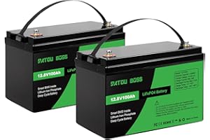 DATOUBOSS 12V 100Ah LiFePO4 Lithium Battery, 1280Wh Energy, Up to 15000+ Deep Cycle, with 120A BMS Protection, Support in Series/Parallel, for RV, Caravans, Boat, Off-Grid Solar Panel System, 2Pcs
