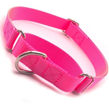 ZALER Wasserdichtes Hundehalsband – Verstellbar, Hypoallergen & Stinksicher | Für Große & Kleine Hunde, Größe L