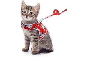 Feimax Pettorina per Gatti con Guinzaglio, a Prova di Fuga, Regolabile, Imbottito in Morbida Rete Traspirante, Imbracatura Riflettente per Passeggio per Gatto Piccolo e Medio