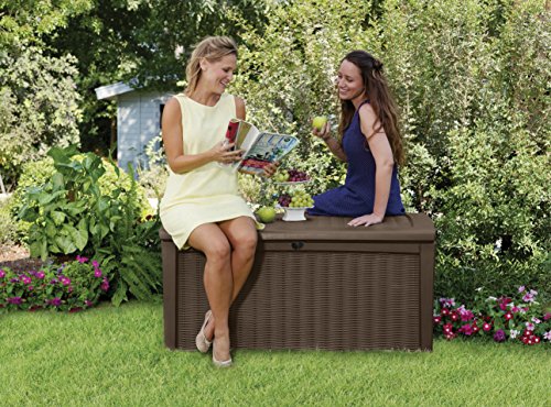 Keter Kissenbox Borneo, Braun, 416L