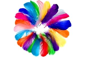 Faburo 500 Stück Bunte Federn, Feder Handwerk,8~12cm, in Gemischte Farben