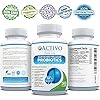 Live Bacteria, 20 Billion Max Potency Organisms, Patented Stomach Acid Resistant & Heat Resistant Strains, Best Proven Probiotic for Women, Men, Children to Improve Digestion, Immunity, Energy, Focus - Image 3