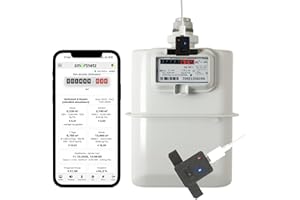 SMARTNETZ GASREADER 5 Mini Pipersberg/Schlumberger/Itron 0,1 m³ / 0,01 m³ / Impuls G4, G4, G10 RF1 Schnittstelle - WiFi mit TASMOTA vorinstalliert (Actaris RF1 0,1 m³ / Impuls)