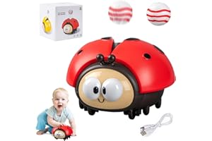 YISKY Marienkäfer Luftballon Spielzeug, Hängendes Marienkäfer Ballspielzeug, Elektrisch Schweben Ball Für Kinder, Schwebender Ball Ladybug, Marienkäfer Lernspielzeug Set, für Kindergarten Geschenk(A)