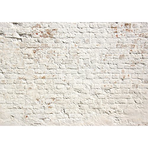 Fototapete Steinwand 352 x 250 cm – Vliestapete – Wandtapete – Vlies Phototapete – Wand – Wandbilder XXL – !!! 100% MADE IN GERMANY !!! Runa Tapete 9020011a - 5