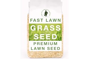THE LITTLE TREES BEES & SEEDS COMPANY Fast Lawn Grass Seed, 1kg (up to 60sqm) Premium Quality Fast Growing Grass Seeds. Tailored for UK Climate. Hardwearing Lawn Seed Perfect for New Lawns, Overseeding & Patch Repair. DEFRA Approved