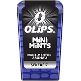 Kent Olips Mini Mints Nane Mentol Aromalı Şekerleme 12.5 gr