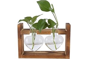TOMOTATO Terrario para Plantas con Soporte de Madera, Estaciones de Propagación de Plantas, Macetas Colgantes, Jarrón de Cristal de Transparente en Forma de Corazón para Plantas de Agua Verde Apto(B)