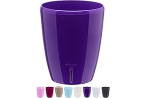 Santino ORCHIDEA Pot à Orchidée à Arrosage Automatique avec Système de Dèche et Indicateur de Niveau d'eau (Diamètre 15 cm, 2 L, Violet)