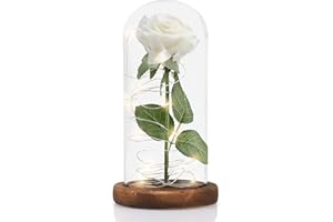 MOOKLIN ROAM Rosa Eterna, Bella e la Bestia Rose e Lampada a LED con Cupola in Vetro e Base in Legno, Sorpresa Regalo per Valentine's Day et Anniversario di Matrimonio, Perfetti Decorazione