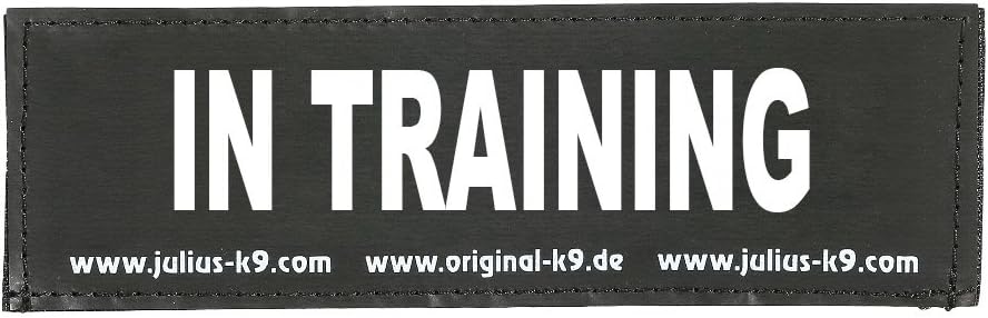 Julius-K9 Original Interchangeable Patch, Small, Black, In Training