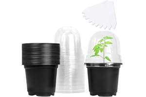 MIXC Plastic Nursery Pots Plant Pots Outdoor with Lid 30 Pack Small Flower Pots 10cm Potting Pots Seed Growing Pot for Seedlings Garden Multifunctional Garden Planter Black