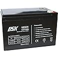 DSK Batería de plomo-ácido de 12 V y 12 Ah, ideal para alarmas domésticas, juguetes eléctricos, vallas, básculas, negra 10325
