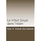 Le tribut (jizya) dans l'islam: Interprétation du verset coranique 113/9:29 relatif au tribut (jizya) à travers les siècles