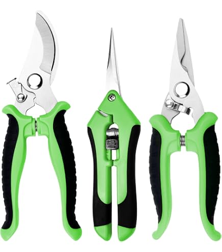 Parence Latex Gartenhandschuhe – Robust, Rutschfest & Bequem Für Alle Gartenarbeiten (Zufallsfarbe)
