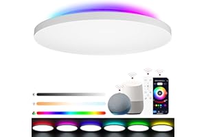 LUTW Smart LED Ceiling Light with RGB Backlight, 24W Dimmable Ceiling Light with Remote Control 2400LM 2700K-6500K IP54 Waterproof Bathroom Lights Work with Alexa, Google Home Ø28CM