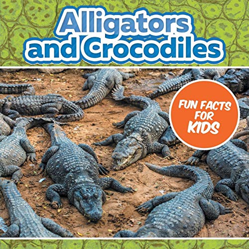 Buy Alligators and Crocodiles Fun Facts For Kids Book Online at Low