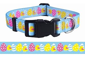 Mihqy Easter Dog Collar - Premium Adjustable Dog Collar for Small Medium Large Dogs, Easter Egg (Easter,S)