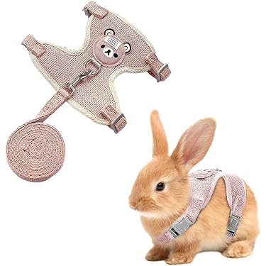Lot De 3 Laisses Et Harnais Pour Lapin - Réglable, Pour Petits Animaux (lapin, Chat Nain, Cochon D'Inde), 120 Cm
