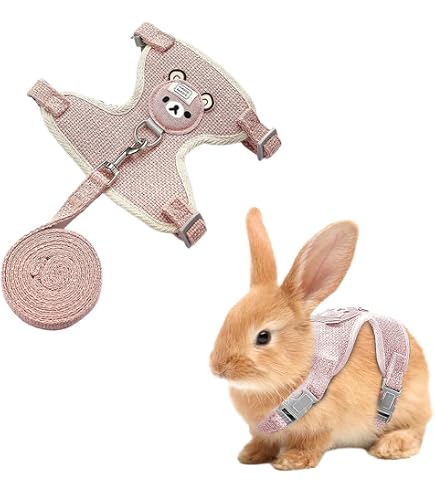 Harnais Réglable Avec Laisse Pour Cochon D'Inde, Lapin, Furet - Maille Respirante, Taille Ajustable, Pour Promenades