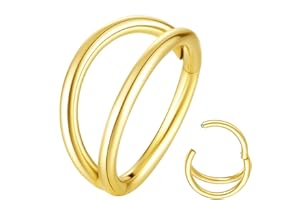 Popuhoops Double Hoop Nose Ring 20G 316L Surgical Steel Cartilage Earring Septum Jewelry Seamless Hinged Clicker Segment Ring Conch Daith Tragus Helix Rook Piercing Lip Ring