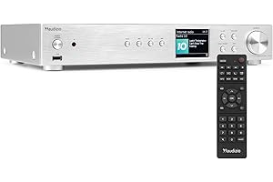 Audizio Adria - Sintonizador de Radio Dab+, FM e Internet con Bluetooth 5.0, Spotify Connect, USB mp3, Pantalla a Color 3,2", WiFi, Mando a Distancia y Salidas RCA, óptica y coaxial, Color Plateado