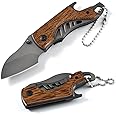 DAJASD Foldable Multitool Knife, Foldable Knife, Multitool Blade with Bottle Opener, Foldable Blade and Key Chain, For Survival Gear Pocket Tool for Outdoor Camping Gift Men
