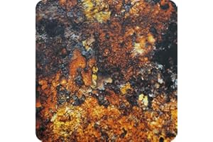 Hydrographique feuille Feuille Hydrographie Water Transfer Printing Activateur Kit Activator Hydrographics acier en oxyde ocre Largueur: 100cm. Longuer: 100cm (HME-067)