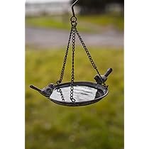 Garden Mile Mangiatoia per uccelli a ghianda da 26 cm, design unico e resistente, per uccelli in rete metallica, perfetta per giardino, patio, esterni, mangiatoie per uccelli