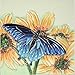 Produktbild YH-Arts 8 x 8 Zoll, Design Schmetterling 1", Keramik, Fliesen Farbe, Mehrfarbig