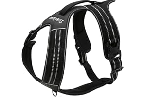 TRUE LOVE Réfléchissant Harnais De Chien Réglable Décourager Tirer Pet Gilet Durable En Nylon De Voiture TLH5551 (Noir, L)